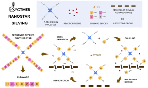 Diagram of the Nanostar Sieving process, showing the 5-armed hub molecule, chain extension, coupling, deprotection, molecular sieving and cleavage steps to produce a sequence-defined polymer star