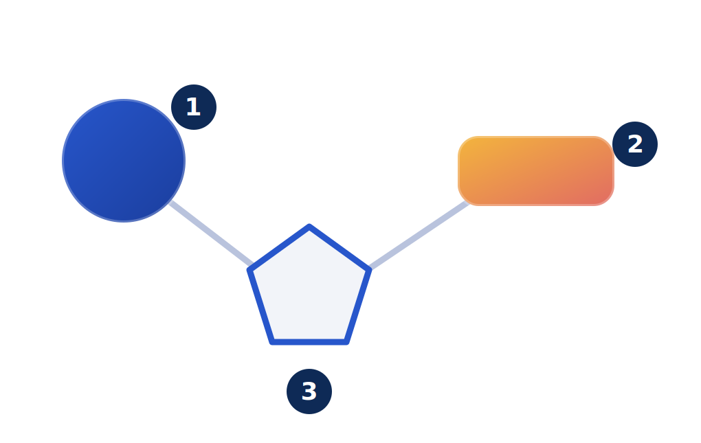 Nucleotide structure: phosphate, sugar, and base